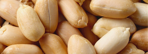 Why Dry Roasted Organic Peanuts Are a Pantry Staple