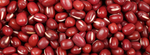 The Complete Guide to Organic Adzuki Beans: Nutrition, Uses, Cooking Tips & Storage
