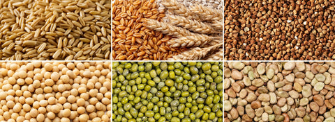 Organic Oat Groats, Wheat Berries & More: What They Are and How to Use Them