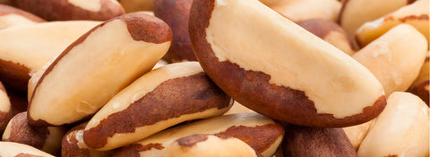 5 Ways to Use Organic Raw Brazil Nuts in Your Pantry & Recipes