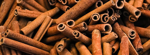 What Part of the Cinnamon Tree Becomes Cinnamon?