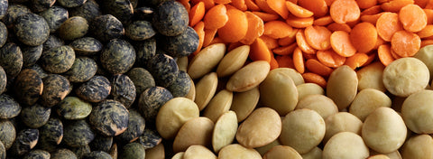 Red vs Green vs French Lentils: What’s the Difference and Which Should You Use?