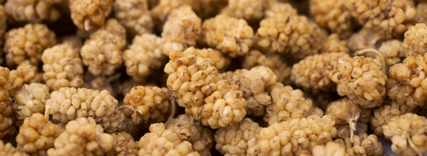 What Are Dried Mulberries? Taste, Uses & Everything You Should Know