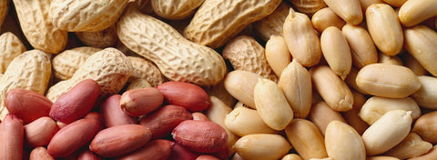 The Difference Between Roasted and Raw Peanuts