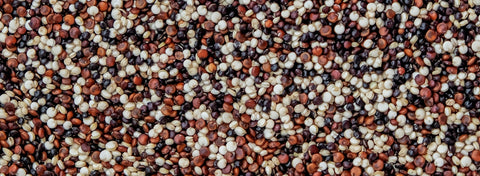 Organic Quinoa: Benefits, Nutrition, How to Cook & Best Uses