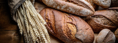 Best Organic Wheat Berries for Bread Baking: Hard White vs Hard Red vs Rye