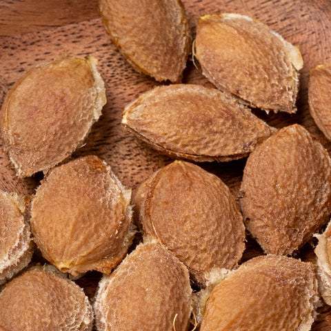 Apricot Kernels