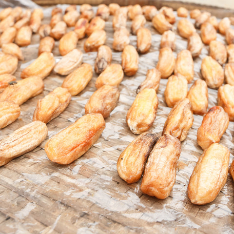 Organic bananas being air dried