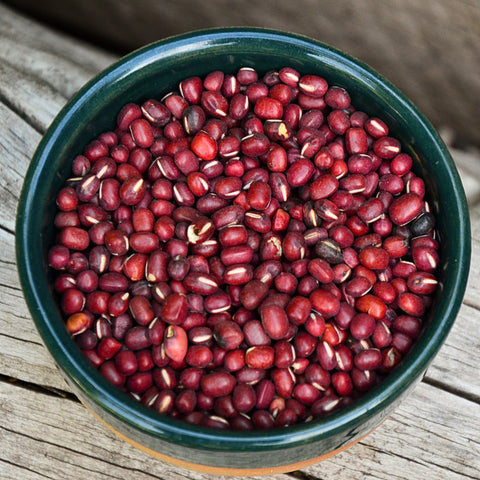 organic aduki beans in a bowl sitting on a log