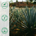 Organic agave plants