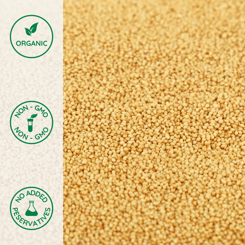 Close-up of organic amaranth