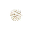 Pile of organic baby lima beans on a white background