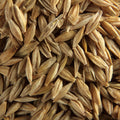 Organic whole kernel barley with husk
