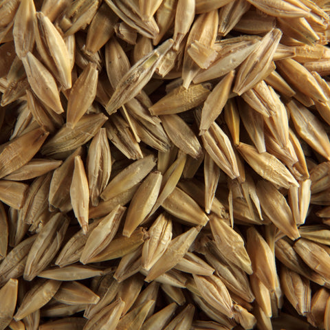 Organic whole kernel barley with husk