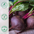 Organic beets with green leafs on a wooden surface