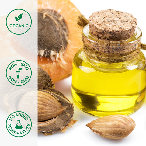 Close-up of organic bitter apricot kernels