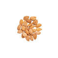 Organic bitter apricot kernels raw and shelled