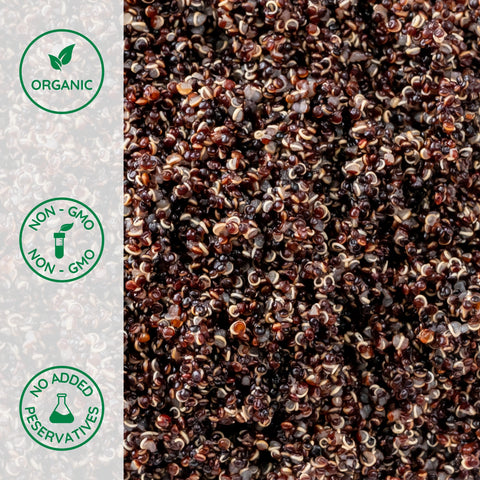 Close-up of organic black quinoa cooked