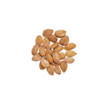 Organic Bland Apricot Kernels Shelled on a white background