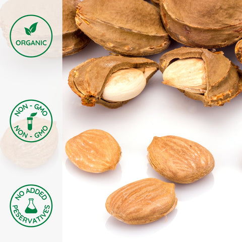 Close-up of organic bland apricot kernels