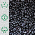 Close-up of organic dried blueberries