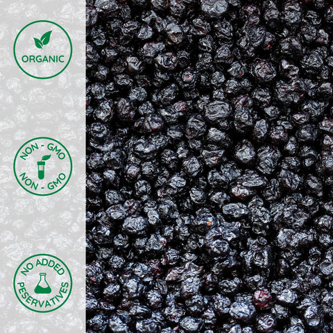 Close-up of organic dried blueberries