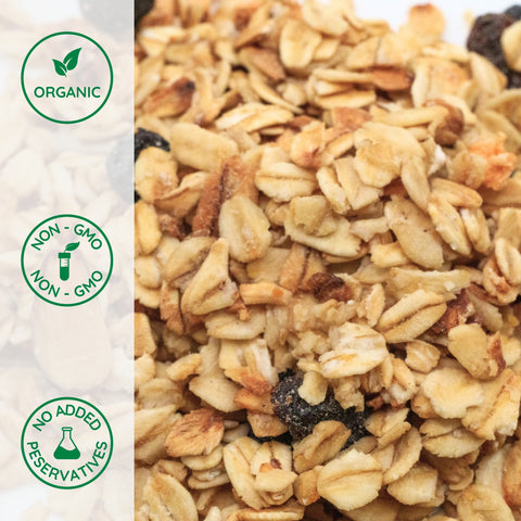 Close-up of organic blueberry almond granola
