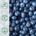Close-up of organic blueberries