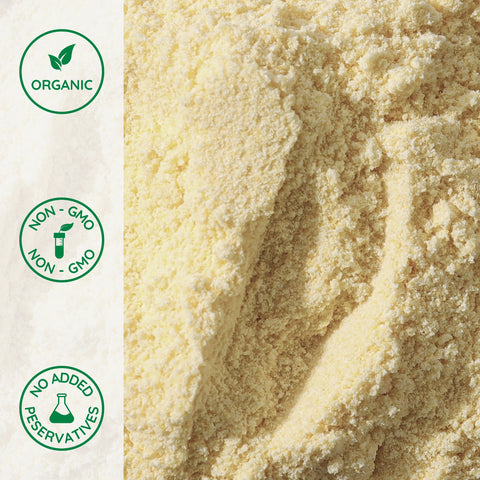 Close-up of organic vegan chicken broth powder