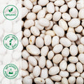 Close-up of organic cannellini beans