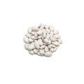 Organic cannellini beans on white background