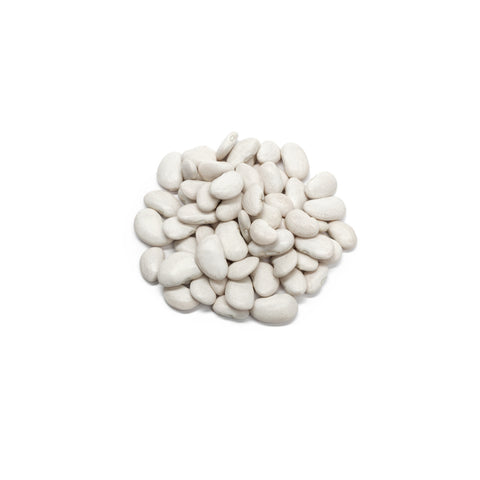 Organic cannellini beans on white background
