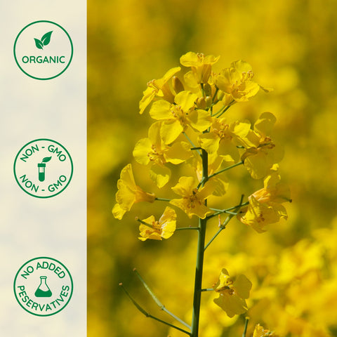 Yellow flower with organic, non-GMO, and no preservatives labels