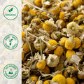 Close-up of organic chamomile
