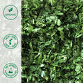 Close-up of organic chopped cilantro herbs 