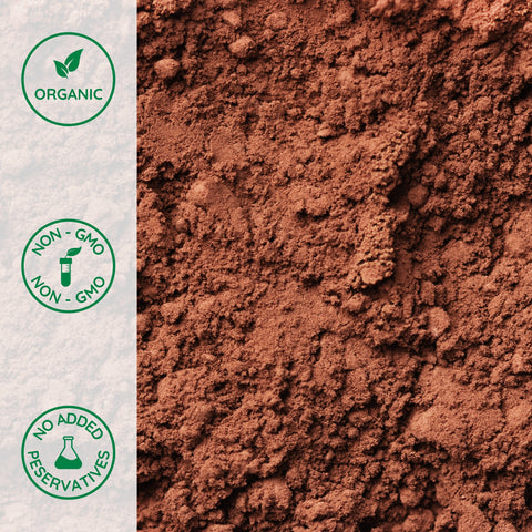 Close-up of organic cocoa powder