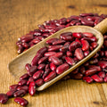 Scoop of organic dark red kidney beans