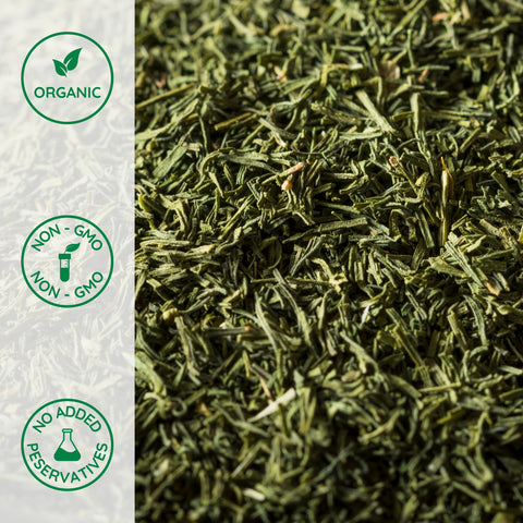 Close-up of organic dillweed