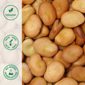 Close-up of organic extra large fava beans (broad beans)
