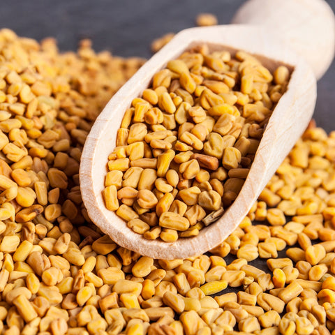 Scoop of organic fenugreek seed