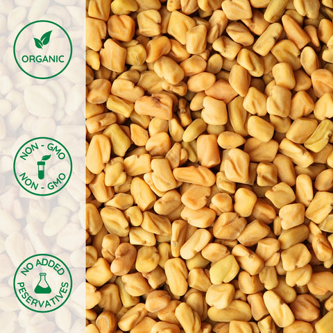 fenugreek seeds for garden Organic Fenugreek Seeds – Sprouting & Culinary Use