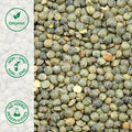 Close-up of organic french green lentils