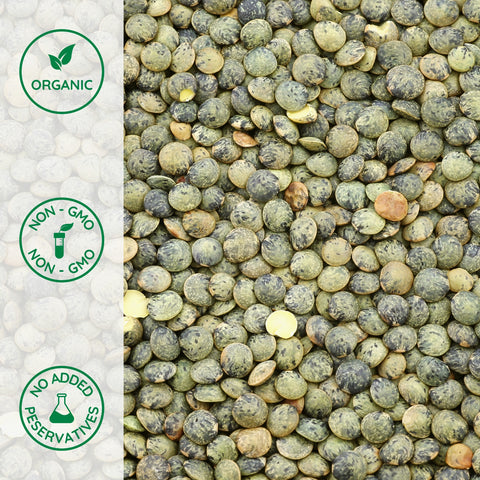 Close-up of organic french green lentils