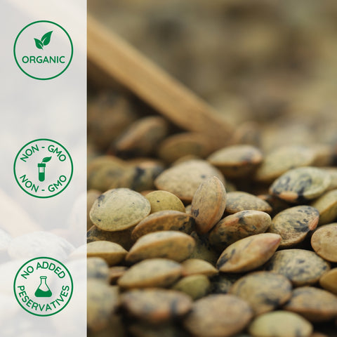 Close-up of organic french green lentils