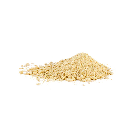 Organic garlic powder on a white background