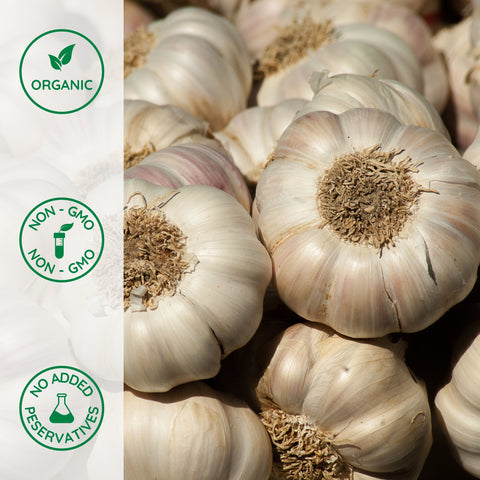 Close-up of organic whole garlic for garlic powder