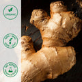 Close-up of organic ginger root