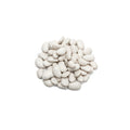 Organic great northern beans on a white background