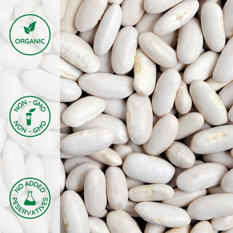 Close-up of organic great northern beans