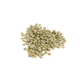 Organic green lentils on white background